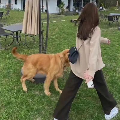 我的恐怖前任